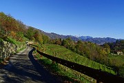 27 Salendo da Ca' Bolis a Cebergnino